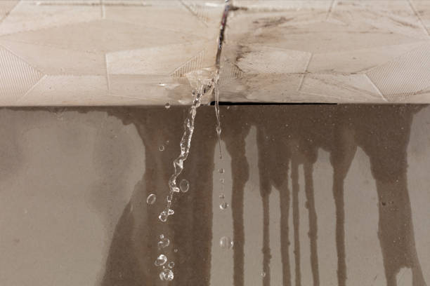 Professional Water Damage Repair technician working in Midfield, TX